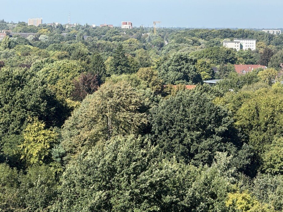 Weitblick Etagenwohnung Hamburg