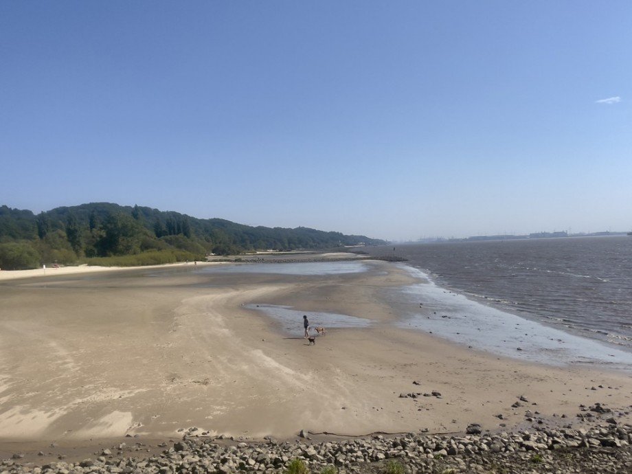 Elbstrand Wittenbergen Mehrfamilienhaus Hamburg