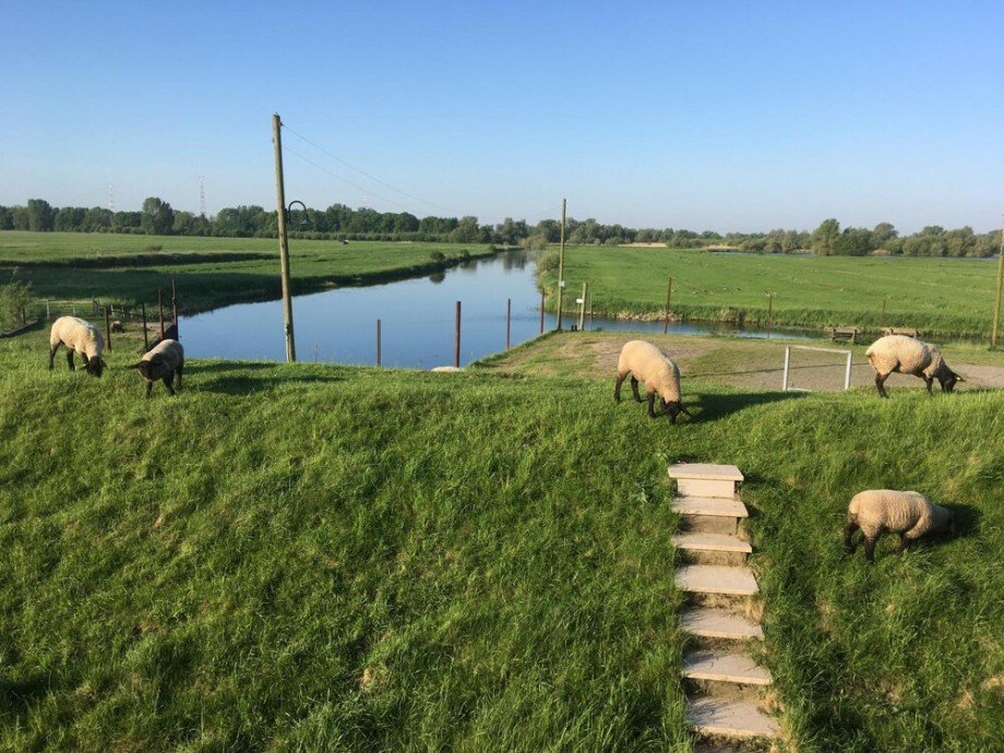WE03 Ausblick Wohnzimmer OG-quer Mehrfamilienhaus Haseldorf / Altendeich