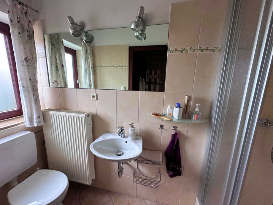 Duschbad Einfamilienhaus Prisdorf