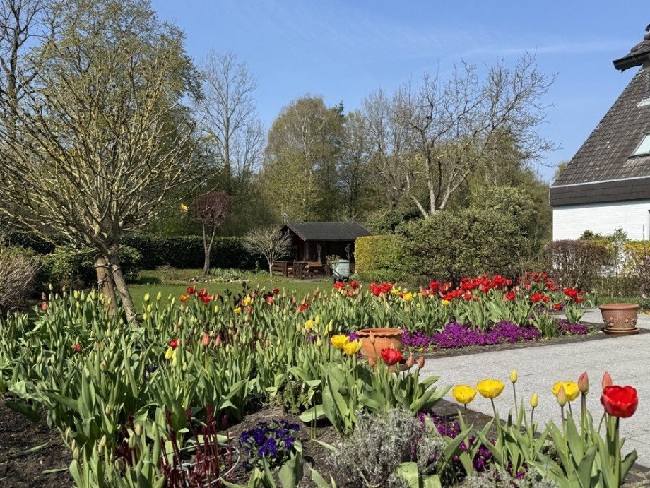 Tulpen-Paradies Einfamilienhaus Pinneberg / Waldenau-Datum