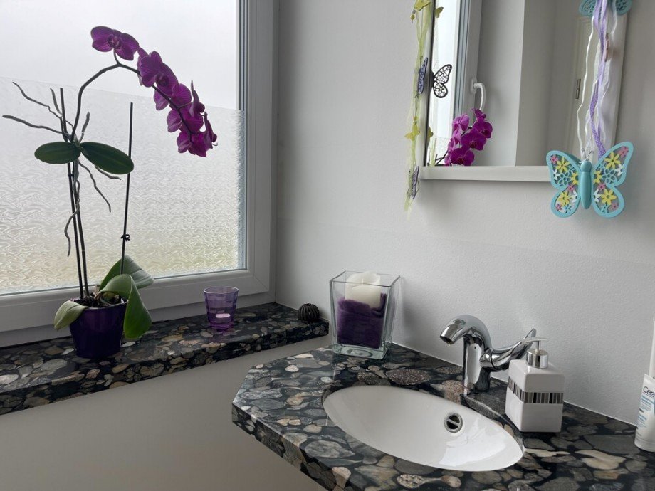 WE02-G�ste-WC Mehrfamilienhaus Haseldorf / Altendeich