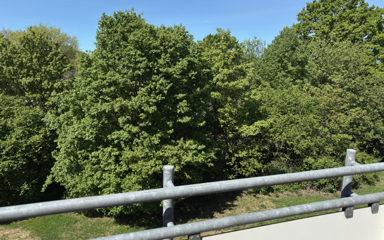 Balkonblick