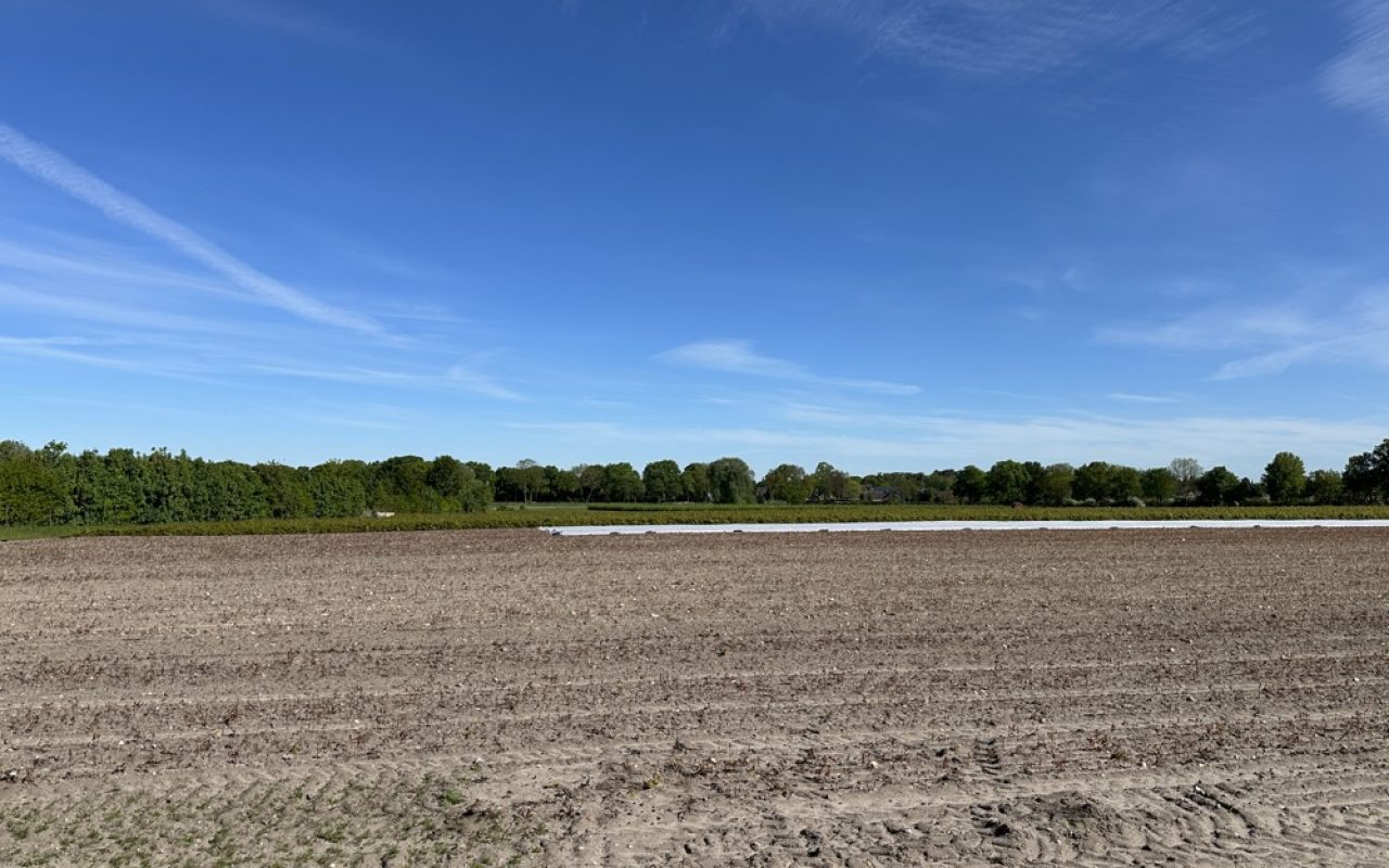 Ausblick Feld