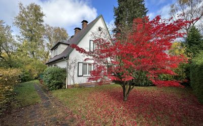 Ruhiges 5-6 Zimmer EFH mit Vollkeller zum individuellen Modernisieren