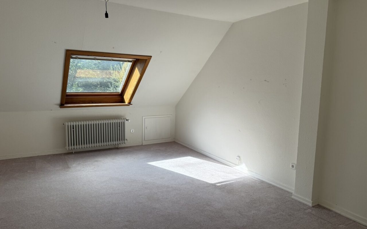 Zimmer DG