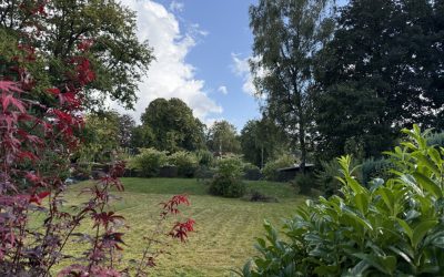 Einfamilienhaus – Baugrundstück mit 650m² in bester Wohnlage Hamburg – Lurup